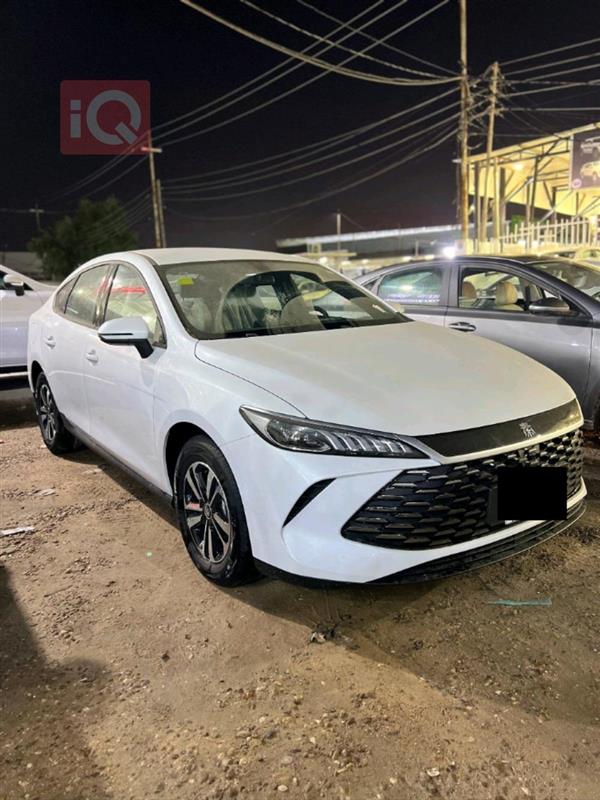 بی وای دی Qin Plus 2025  بۆ فرۆشتن لە عێراق - نەجەف